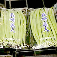 インゲン１パック１００ｇ